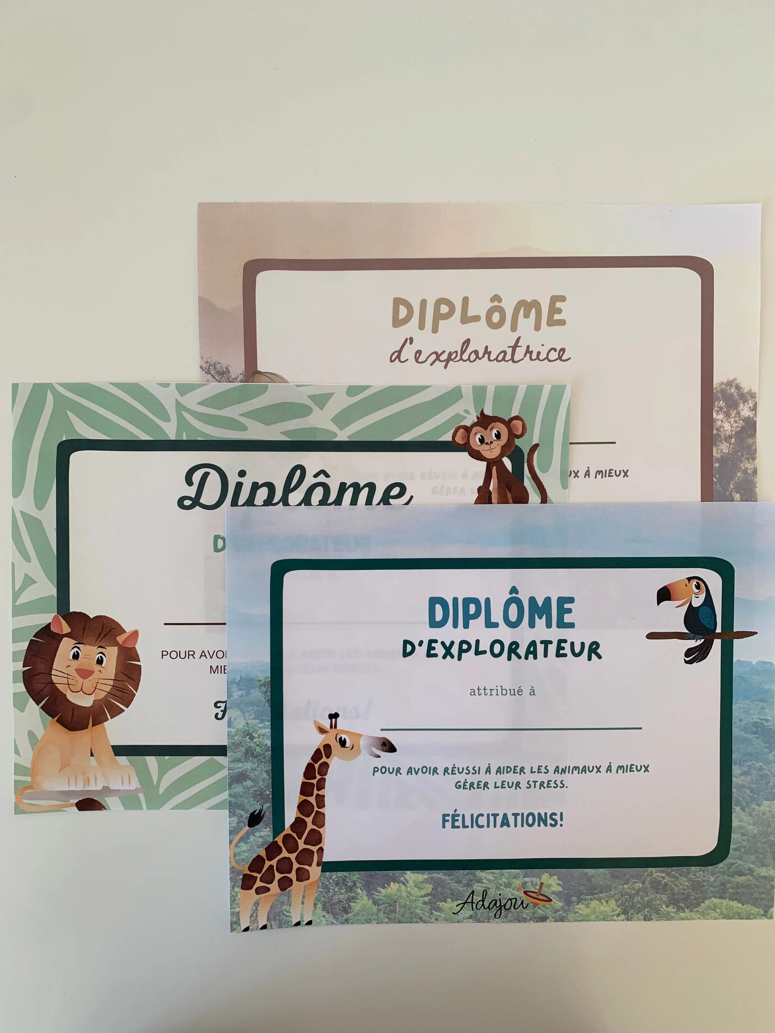 Dipl me D explorateur trice Adajou dipl-me-d-explorateur-trice-adajou
